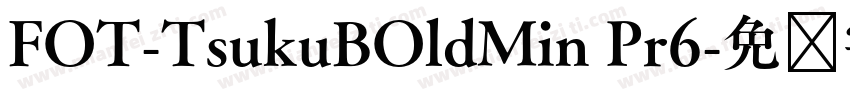 FOT-TsukuBOldMin Pr6字体转换